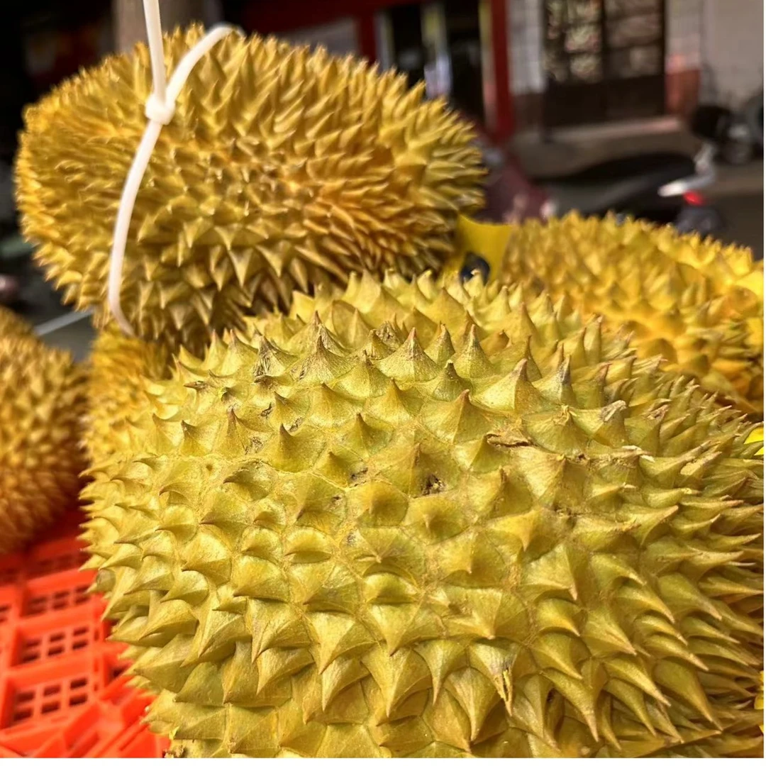 (鲜果）E号金枕榴莲 一果一拍果肉软糯香甜 一层小油皮（需补差价）