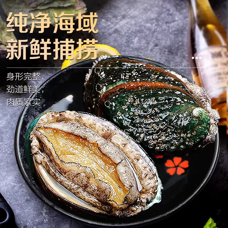 鲍鱼顺丰配送8-10头6cm捕捞鲜嫩口感美味海鲜产品液氮冷冻丰收季