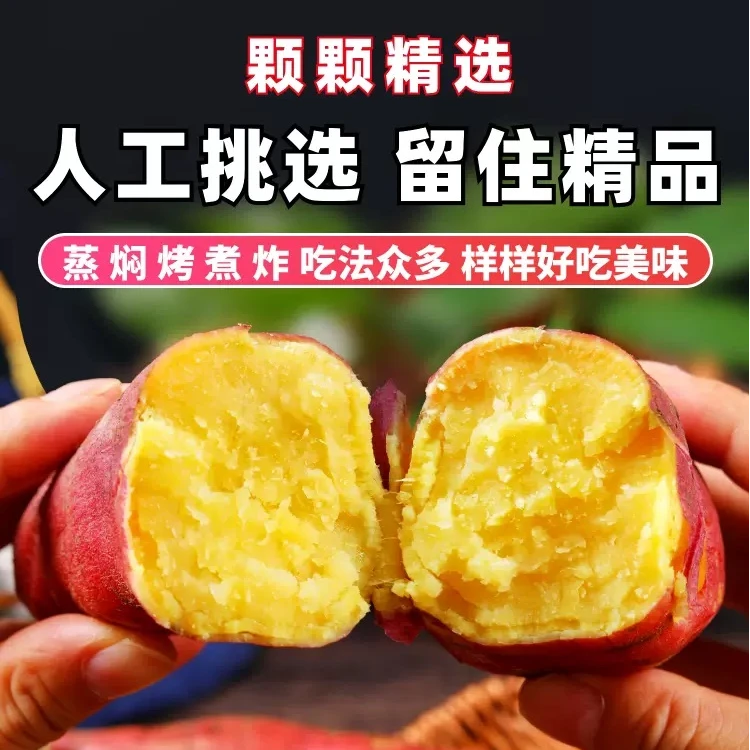 陕西新鲜板栗蜜薯红薯，地瓜干粉面香甜产地直发，新鲜烤地瓜蒸番薯