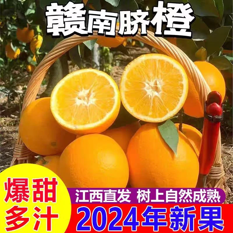 【赣州发货】江西赣南脐橙特早新鲜橙子当季水果9/4.5斤包邮