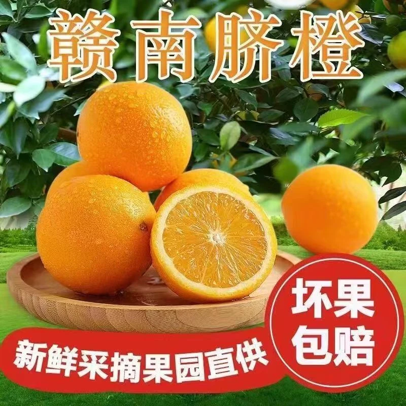 正宗江西赣南脐橙新鲜爆汁水果（来自果园直供现摘现发，充足，好吃）