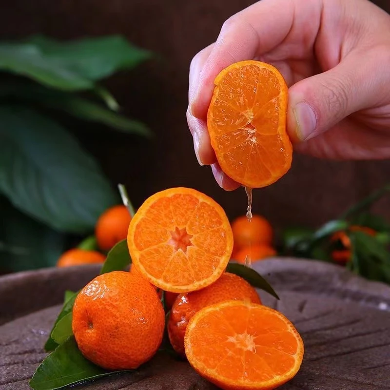 【防冻包装】广西原产地新鲜采摘正宗砂糖橘