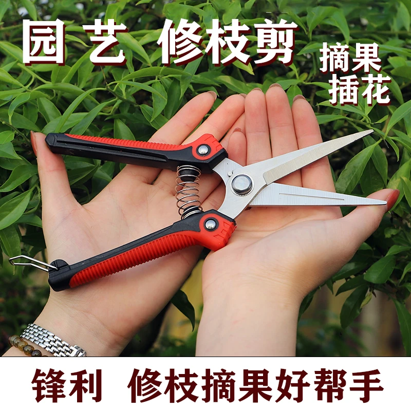 剪枝园艺剪刀修花树枝剪修枝剪果园芽剪摘果剪疏果稀果葡萄剪刀