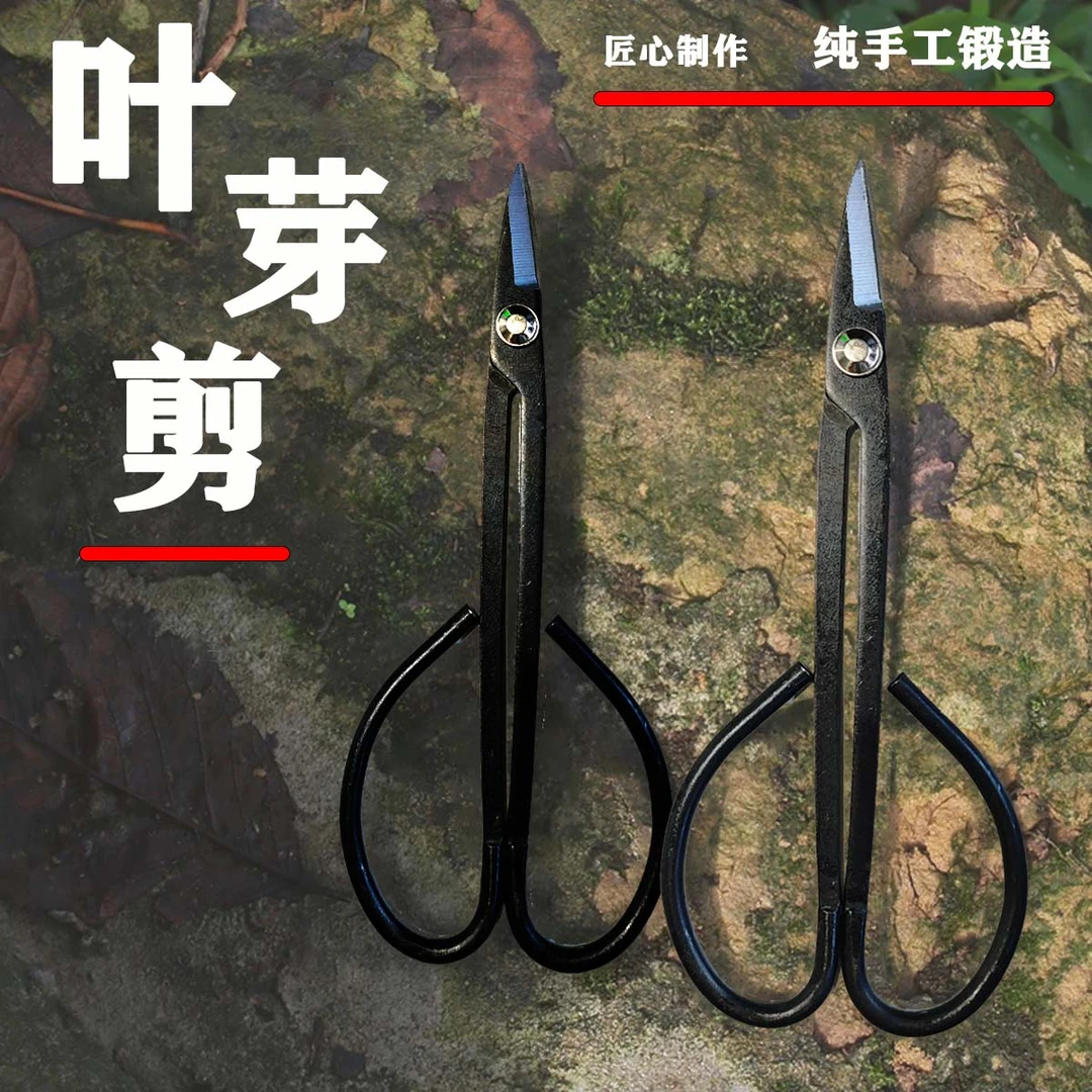尖头加长叶芽剪合金钢剪枝家用园艺剪芽树剪兰花剪省力黑色纯手工