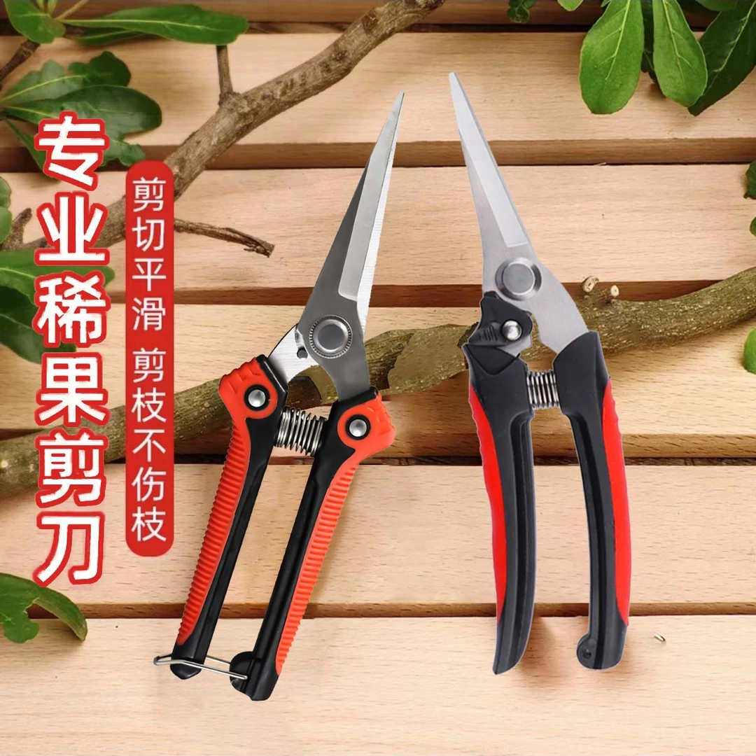 园艺剪枝修枝剪家用剪枝摘水果神器嫁接剪树枝剪枝修枝剪多功能