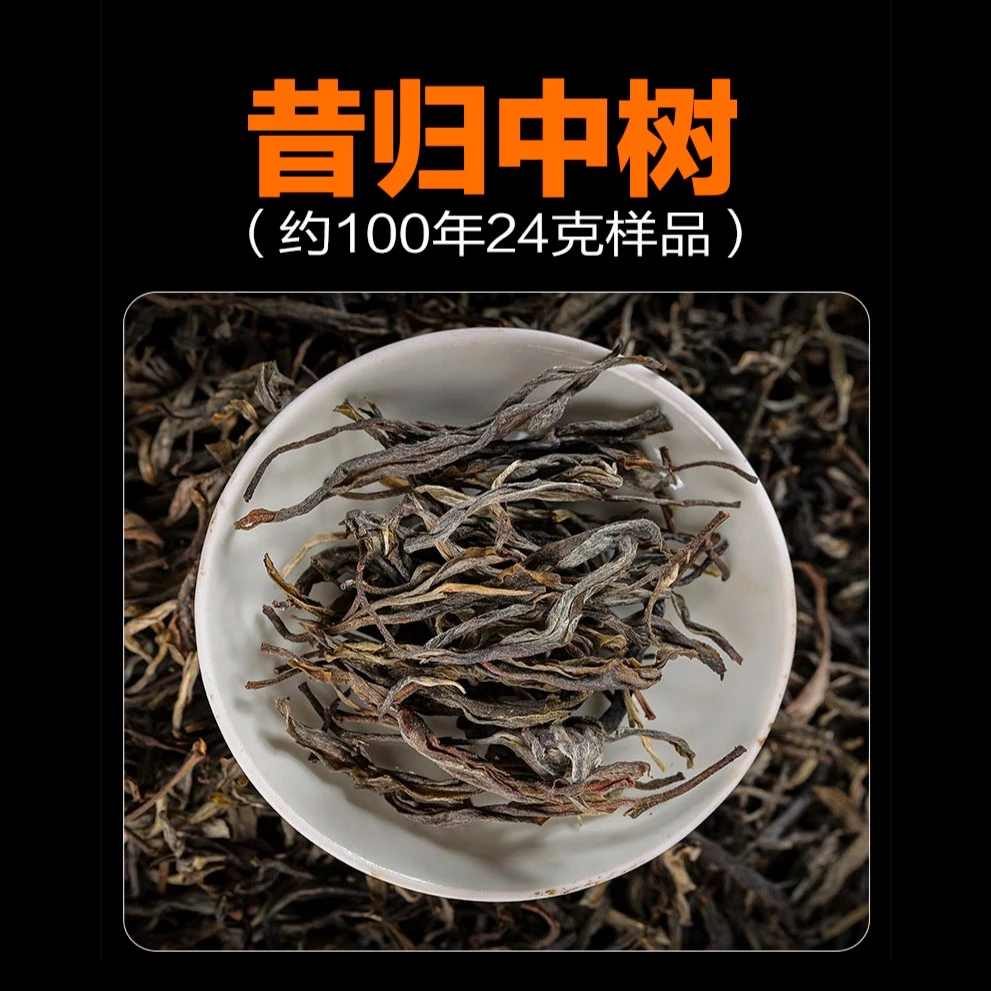 2023年昔归100年中树春茶生普洱茶 24克装茶叶云南普洱茶生茶盒装