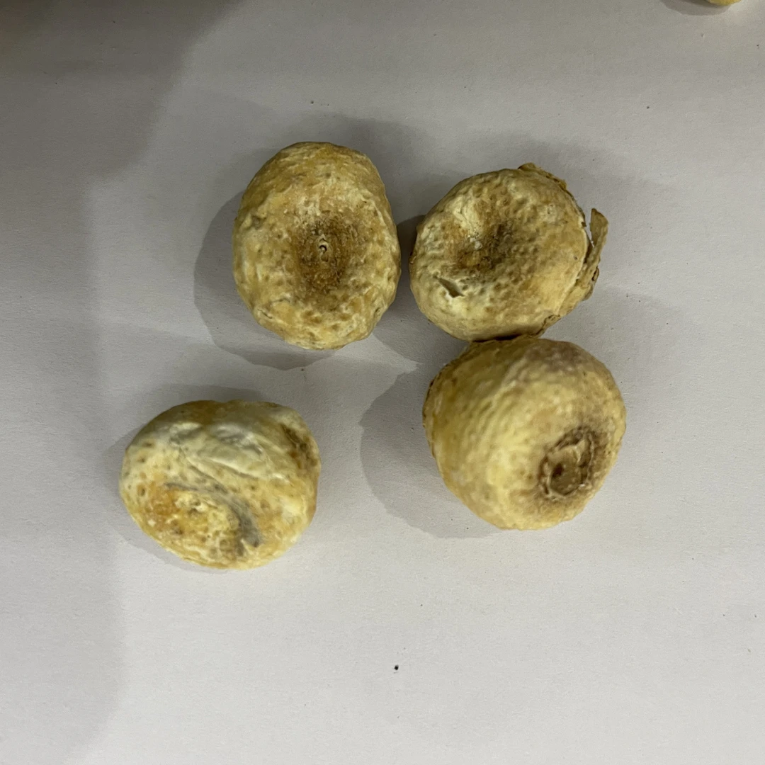 （黄丽）川白萝卜去皮250克