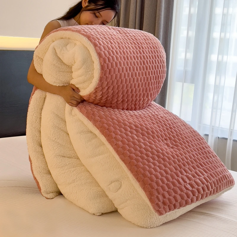 冬季双面加绒加厚保暖冬被牛奶绒被芯单人双人秋冬天被芯被子被褥