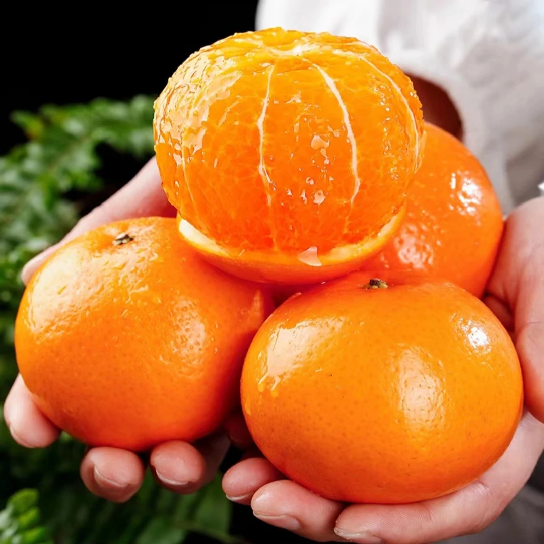 【粉丝专属】广西武鸣沃柑3/5/10斤 当季新鲜水果香甜多汁产地直发