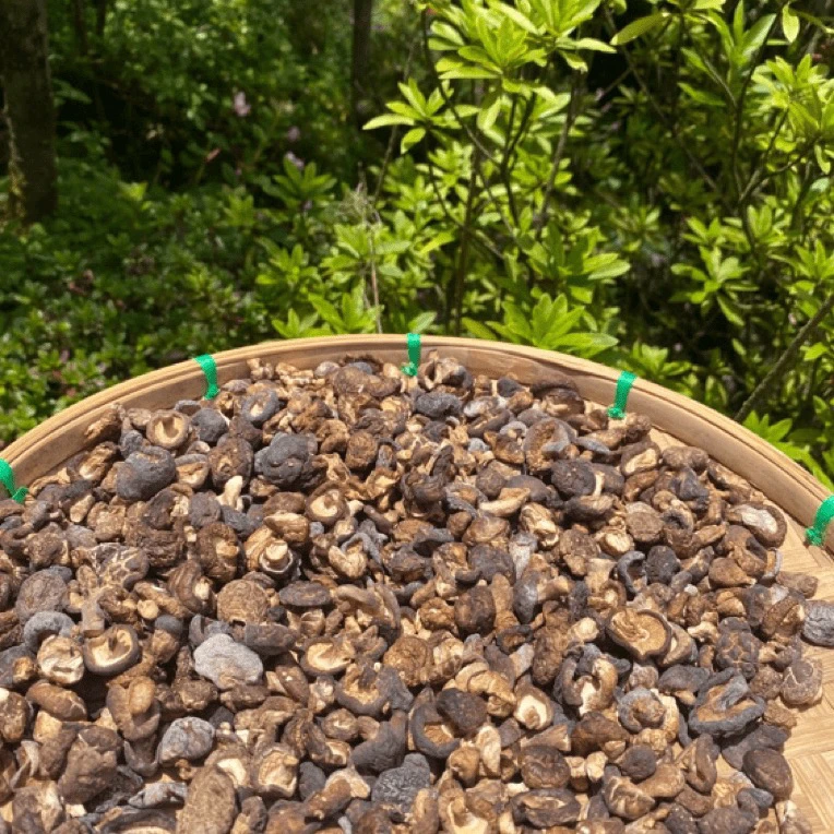 SS【土特产】小香菇 净含量250g-500g