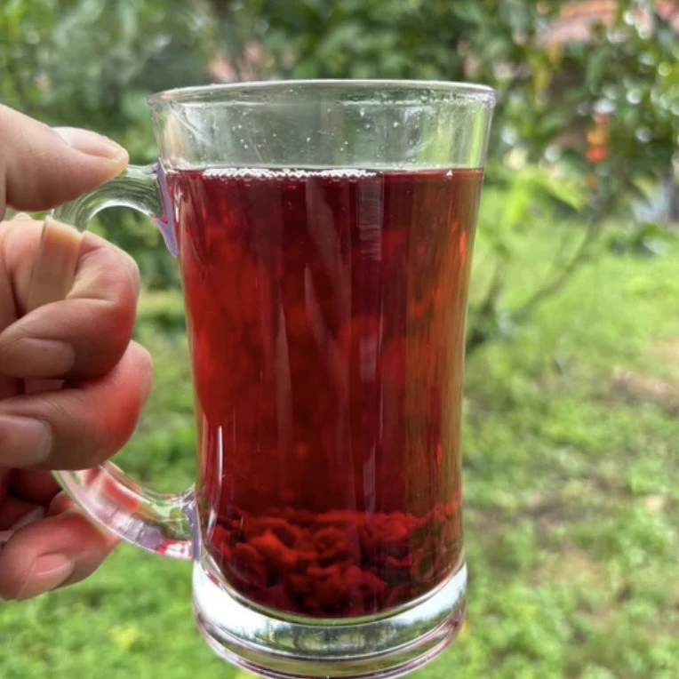 【阿勇专属】龙-血-果 净含量250g-500g