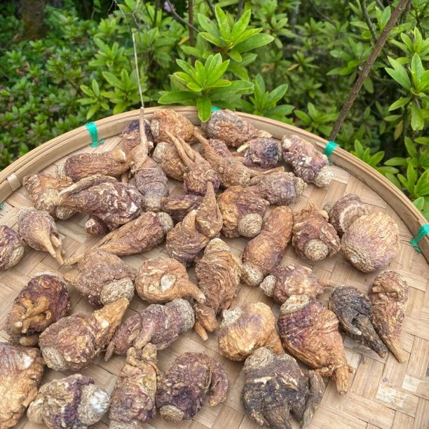 【阿勇专属】太极糁净含量500g