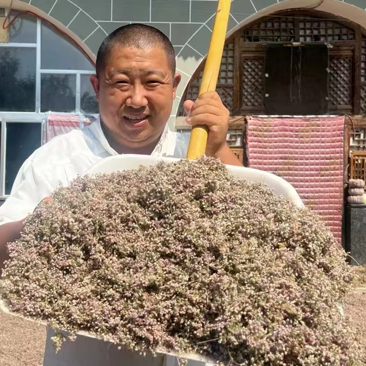（众）泽蒙花 陕北葱类调料 25克/罐包邮