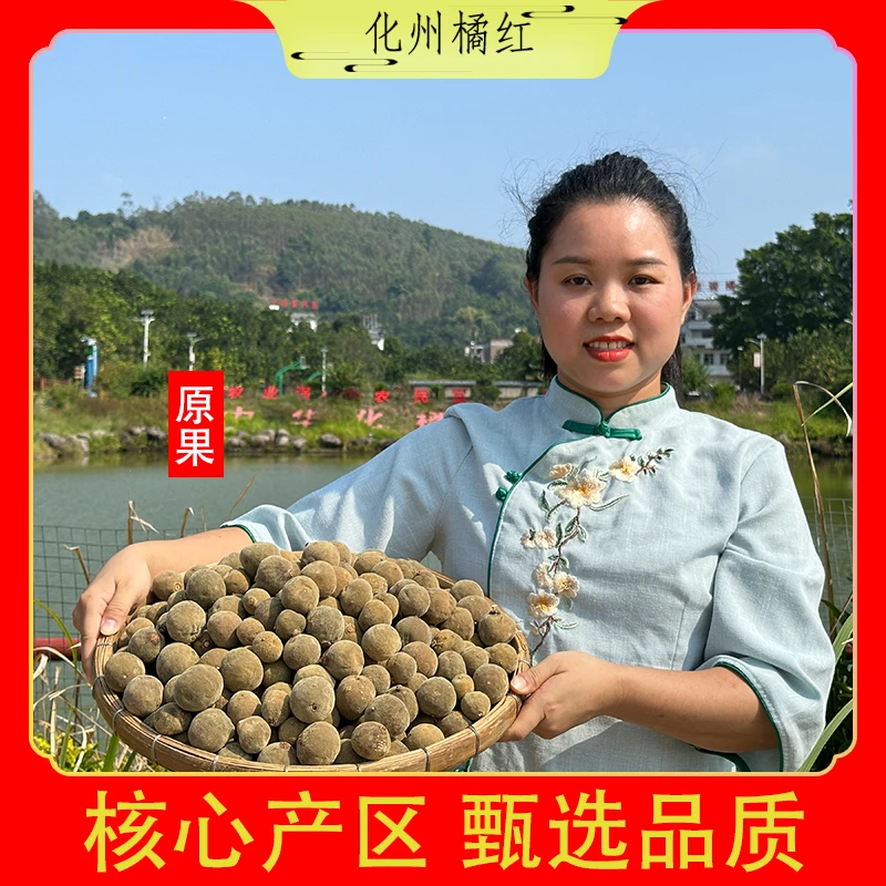 果述源正宗化州橘红圆果核心产地大岭村农家手工老树金毛原果收藏