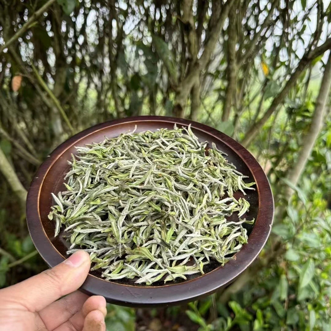 【老缪坊】號级 福鼎白茶2024年荒野特级牡丹 核心产区高山茶散茶