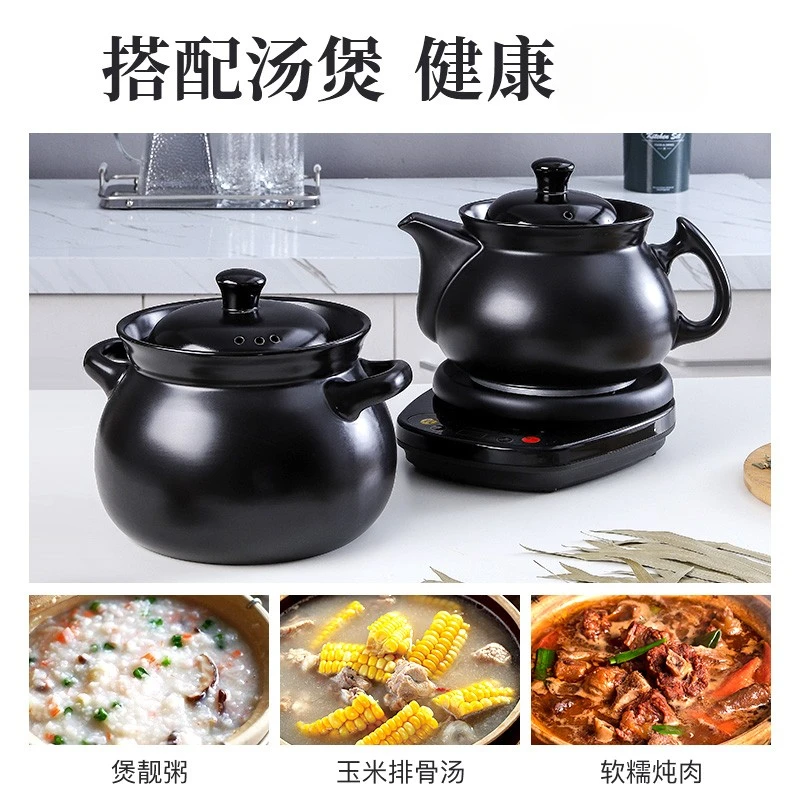 德国全自动中药电煎药壶熬药熬汤家用煎锅中医煮炖煲砂锅药罐