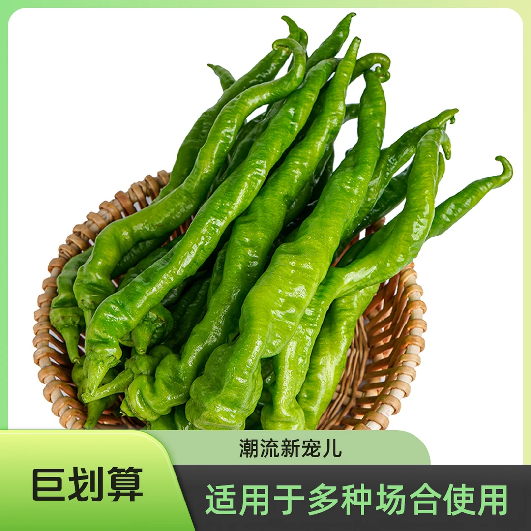 云南软壳螺丝椒微辣农家菜现摘
