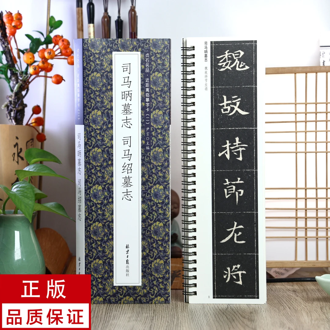 司马昞墓志 司马绍墓志 魏碑 静文轩近距离临摹字帖