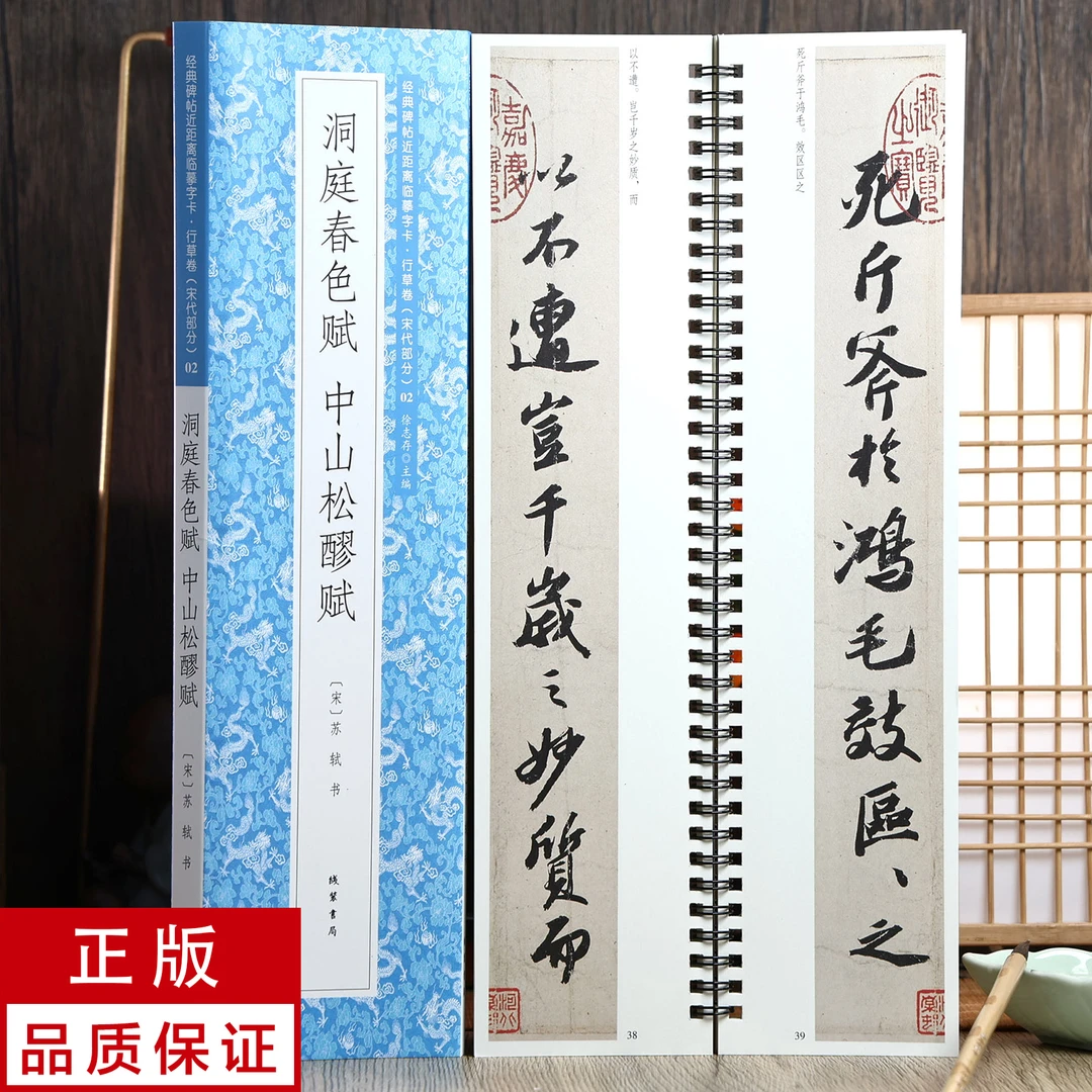 苏轼行书洞庭春色赋 中山松醪赋 静文轩近距离临摹字帖