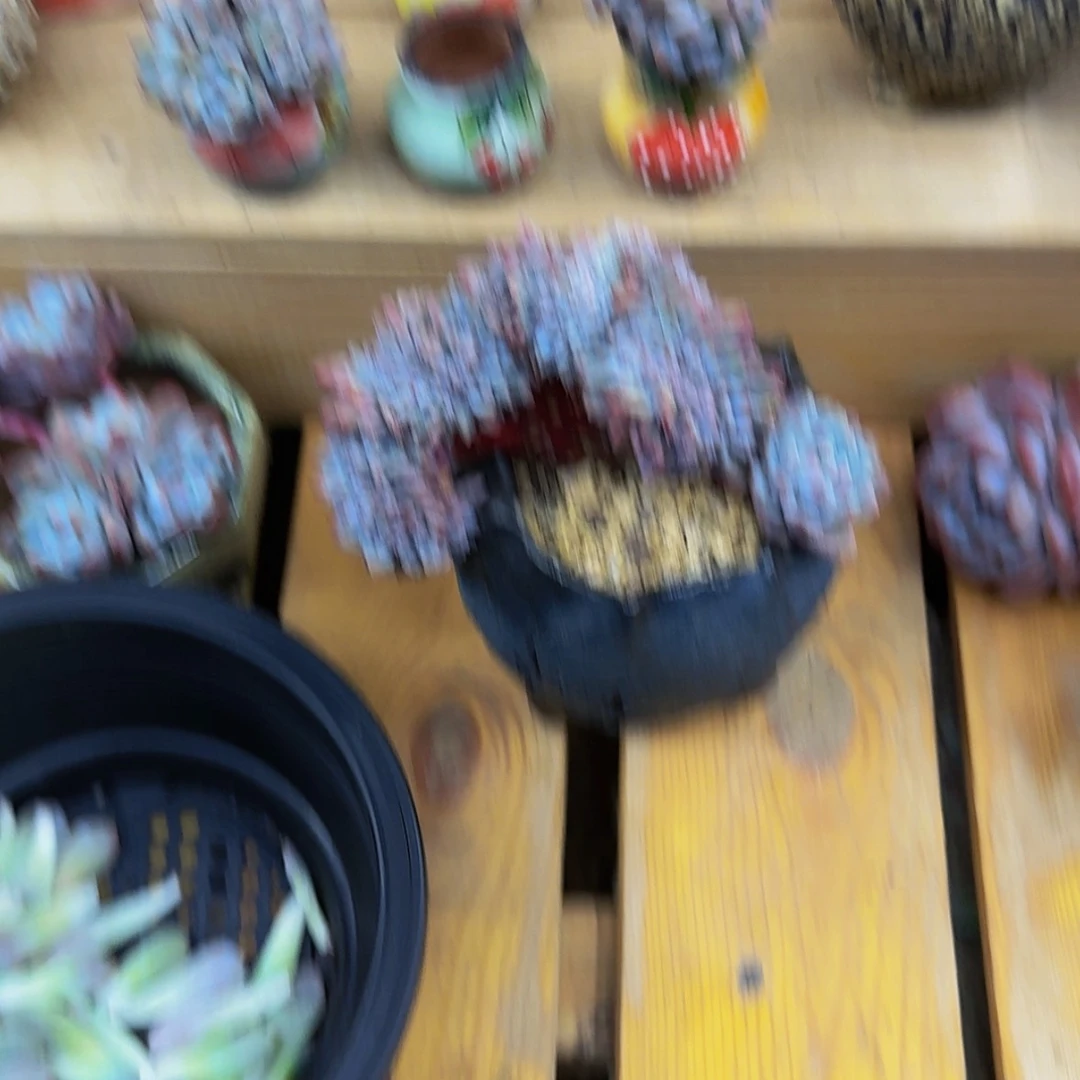【闪购商品】有***粒
