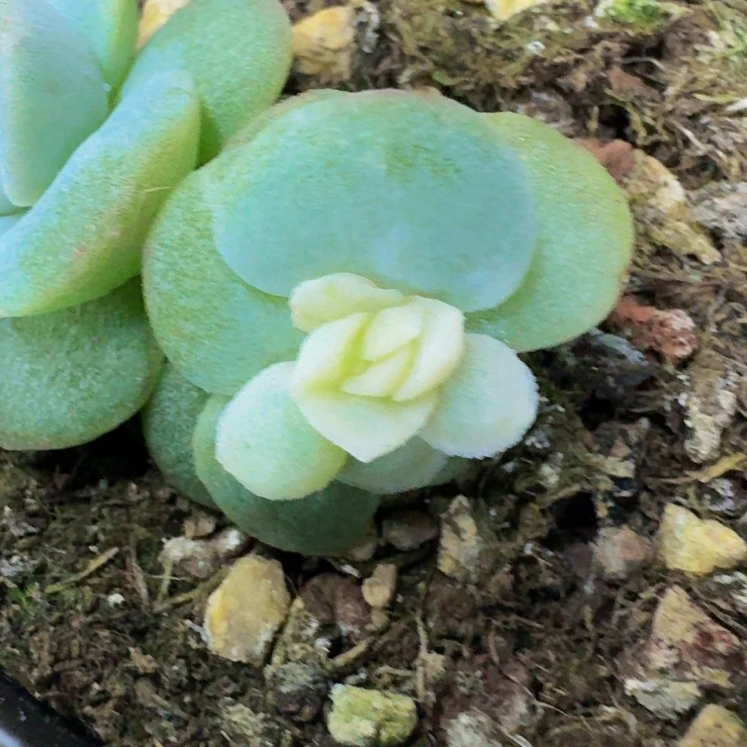 勾***红哈哈哈哈哈哈哈哈哈