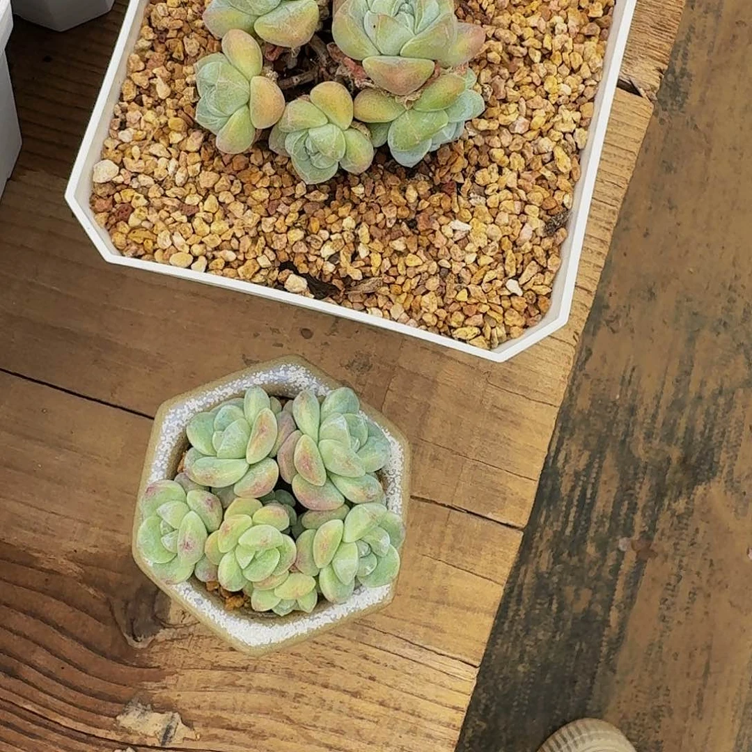 芒**爷哈哈哈哈哈哈哈哈哈哈