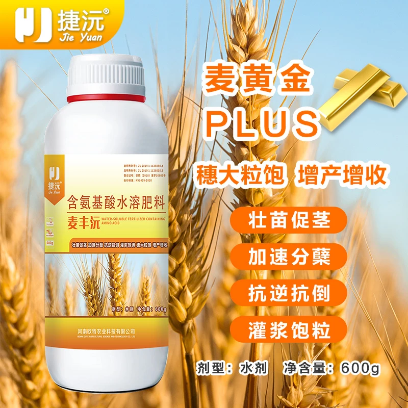 捷沅麦丰沅小麦高产叶面肥麦黄金增产促分蘖抗倒伏灌浆籽粒饱满