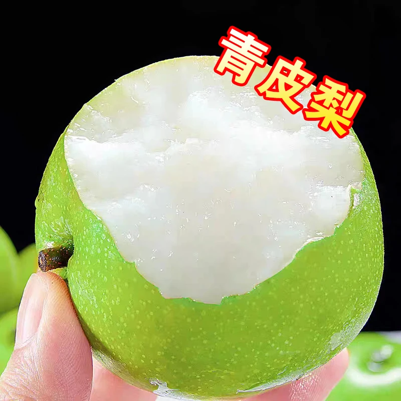 砀山青皮蜜梨脆甜无渣汁水新鲜水果梨砀山梨