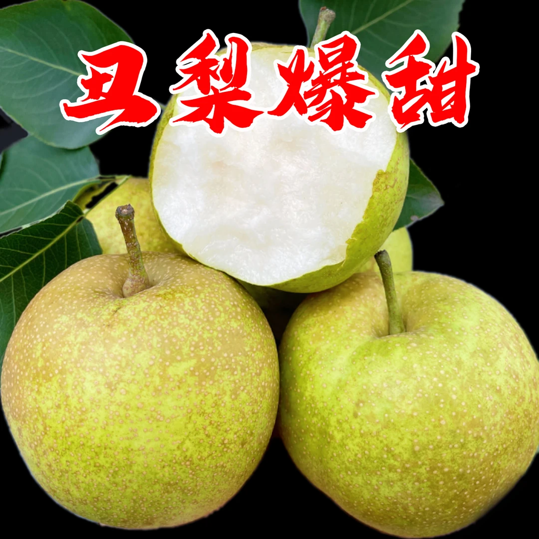 安徽砀山爆甜丑梨现摘现发脆甜多汁入口无渣严选优果