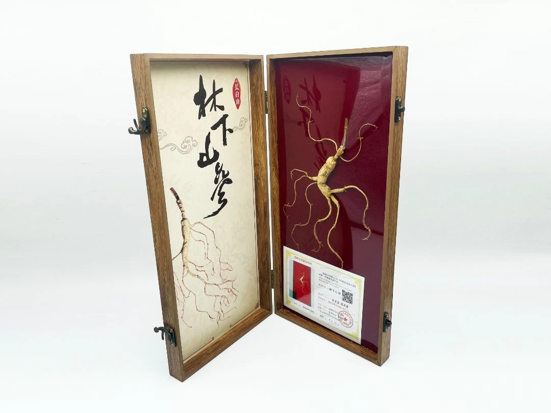 【林下山参】 1支/盒  正宗长白山人参干 礼盒带证书