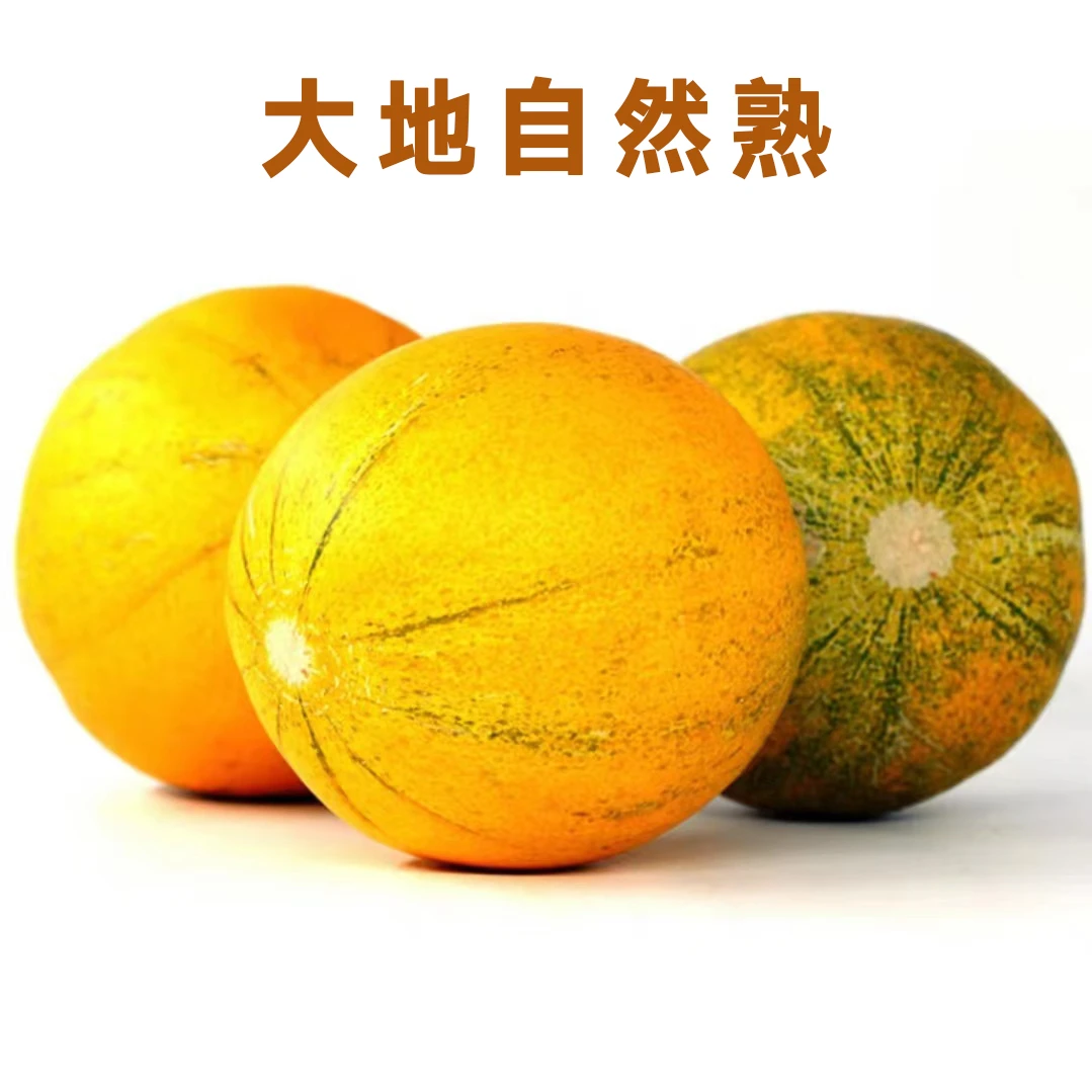 内蒙磴口华莱士1箱5斤左右by