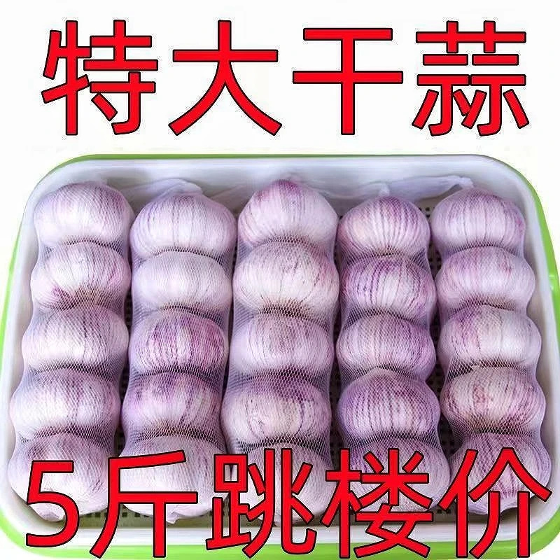 【特大干蒜】山东正宗紫皮5斤干大蒜新晒干蒜多瓣蒜子大蒜100克整箱