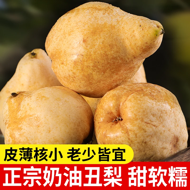 奶油丑梨甜糯香甜当季新果软吃