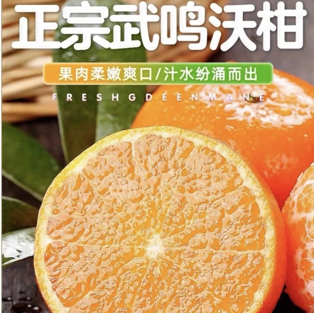 广西沃柑2斤/5斤/9斤装  高山爆汁柑橘 皮薄香甜新鲜水果包赔纯正