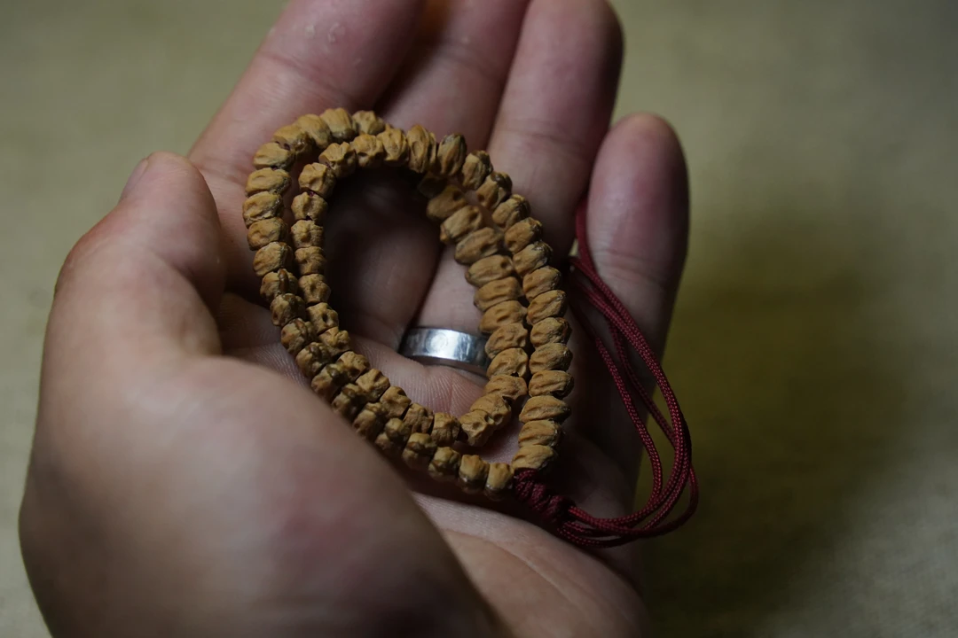 百香籽双线龙骨手持，颗颗带深坑