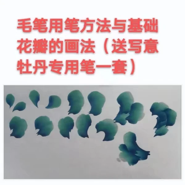 毛笔使用与基础花瓣画法（写意牡丹订制毛笔一套）爱平国画