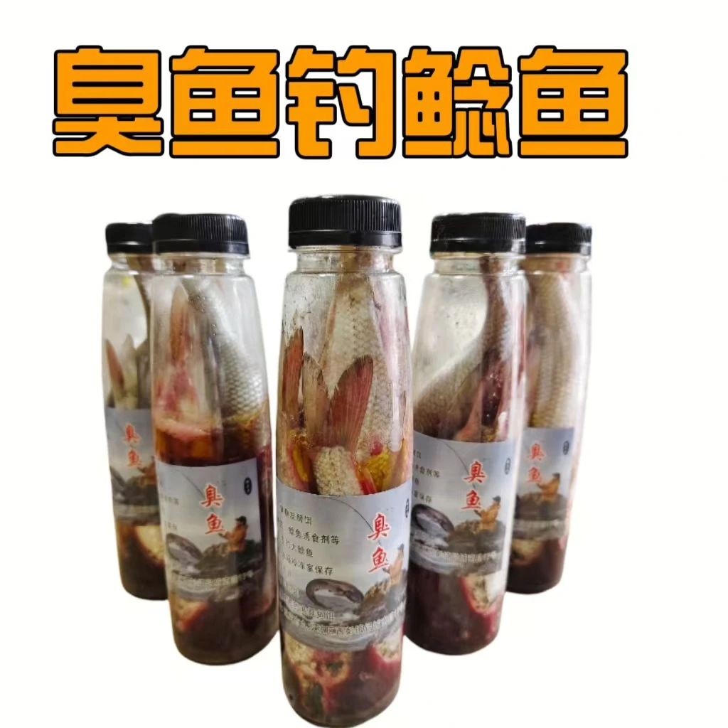 臭鱼主钓鲶鱼大个体肉食性鱼类臭味浓诱鱼快留鱼时间长大鲶鱼