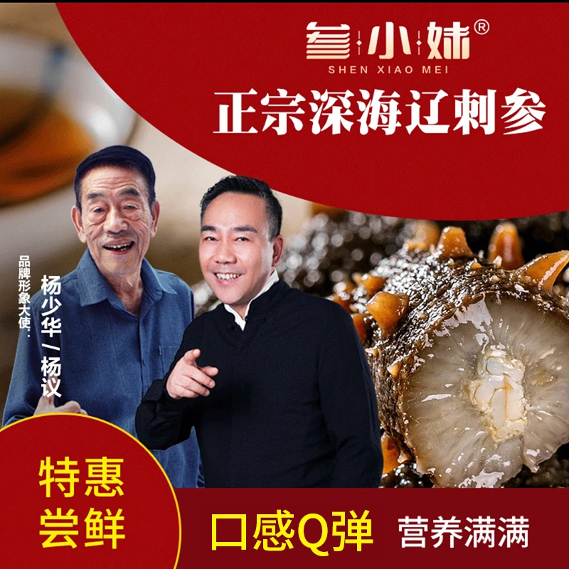 【参小妹】鲜食海参 大连海参 劲道好吃5-6头/斤