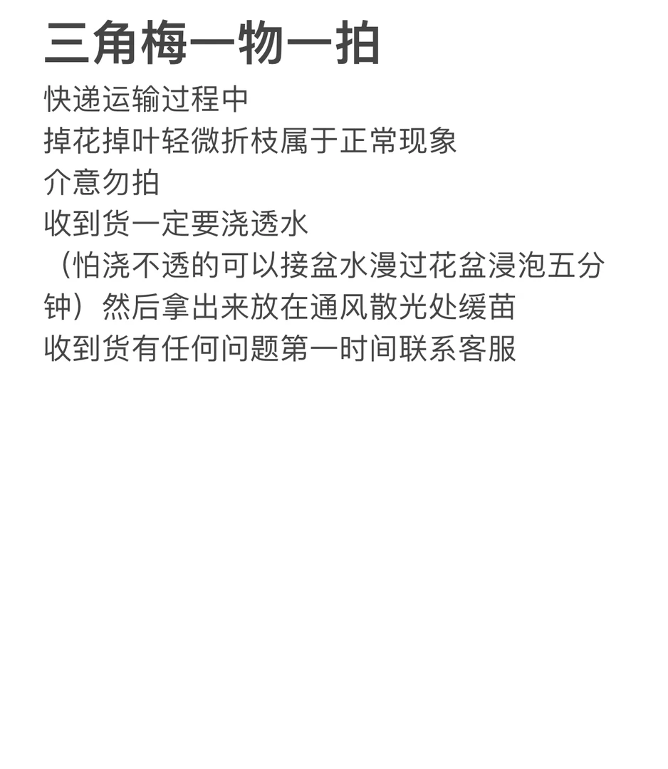 三角梅一物一拍，原土原盆（介意掉花落叶不要拍）