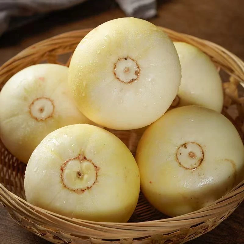 正宗东北大地香瓜头茬甜瓜薄皮甜脆香瓜新鲜香甜蜜甜美味甜蜜自然