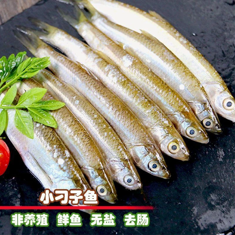 江西特产新鲜小白条餐鱼咸鱼淡水鱼可红烧咸菜油炸农家自制鱼干
