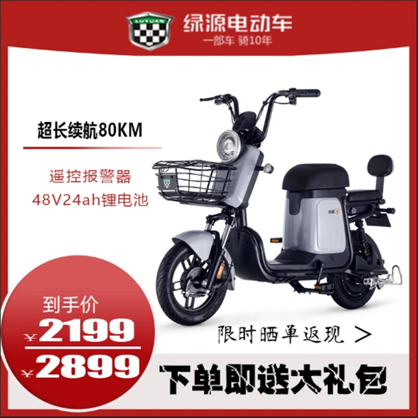 绿源新国标电动自行车ZFB48V24A翻糖男女小型代步车轻便电瓶车