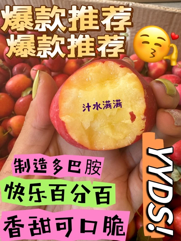 东北特产鸡心果 香甜可口脆 满口爆汁