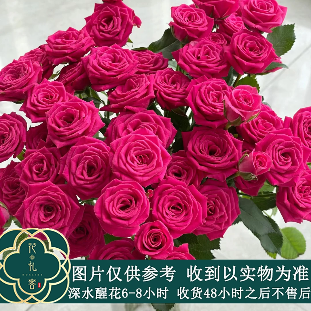 云花巷 *  【粉红溜溜球】鲜花优选顺丰直发