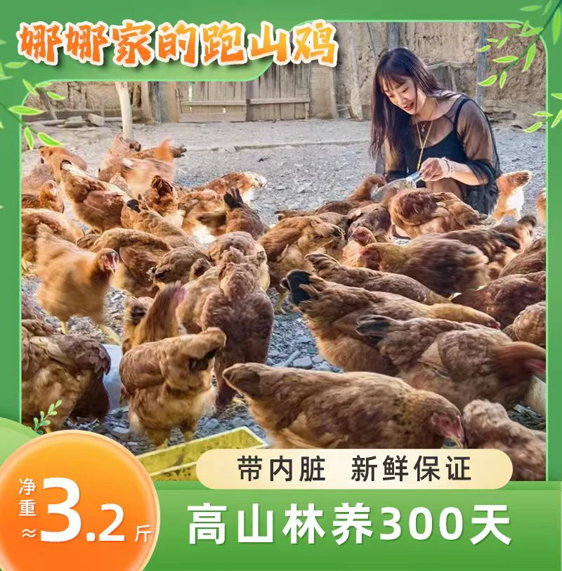 ［娜娜家］高山林养300天黄油母鸡 包冰率10%以内