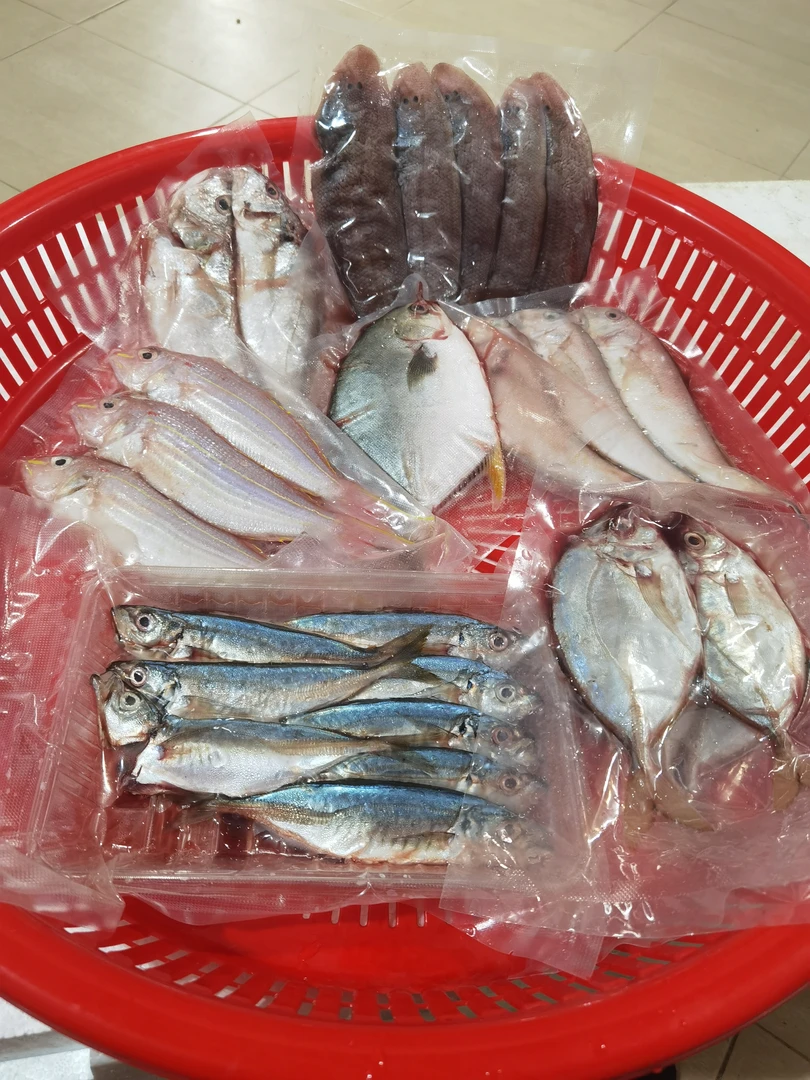 广东汕尾碣石本港海鱼套餐
