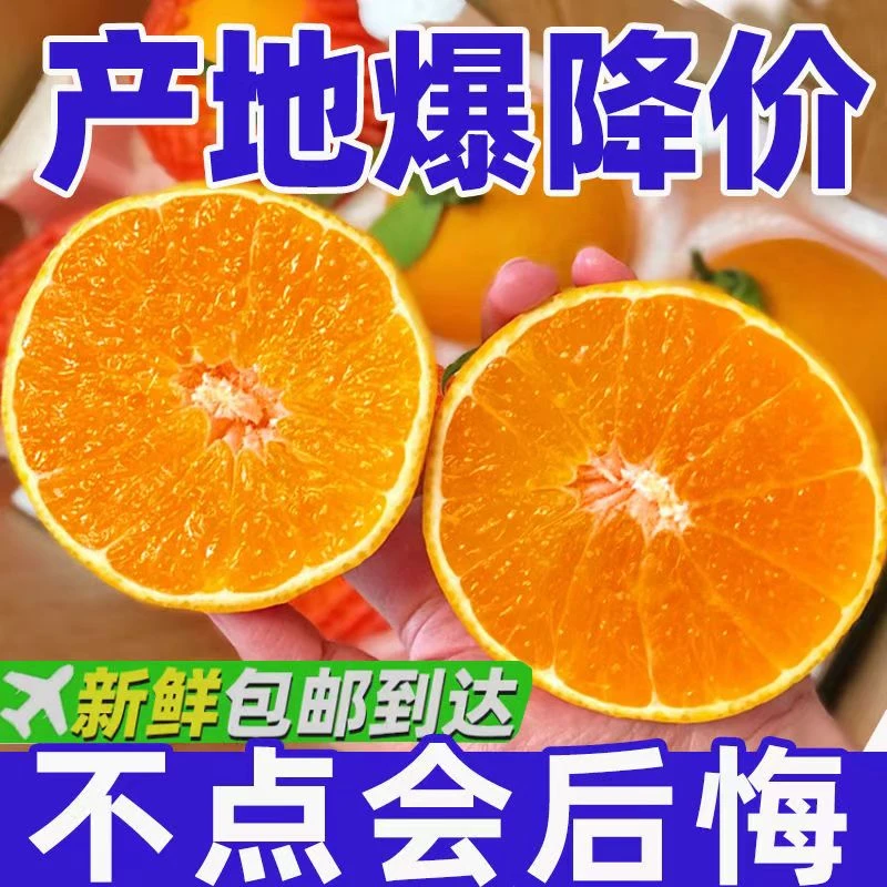 顺丰云南高山橙子果冻橙新鲜水果酸甜皮薄香甜多汁精中大果红美人