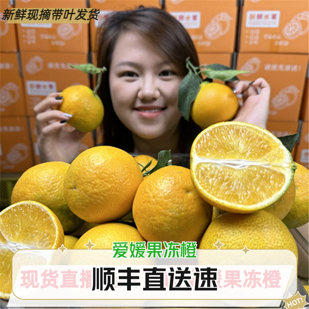 现摘顺丰果冻橙子云南高原水果红美人新鲜当季甜橙38号薄多汁