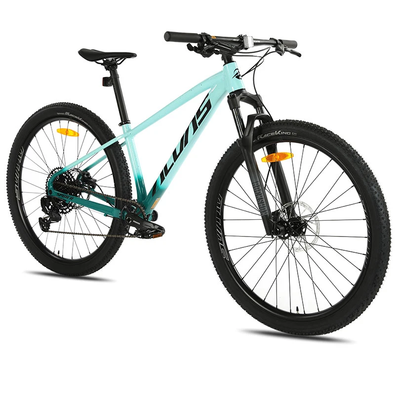 ALVAS/爱瓦士SPIDER SLR SX桶轴29寸山地车自行车1*12速越野XC