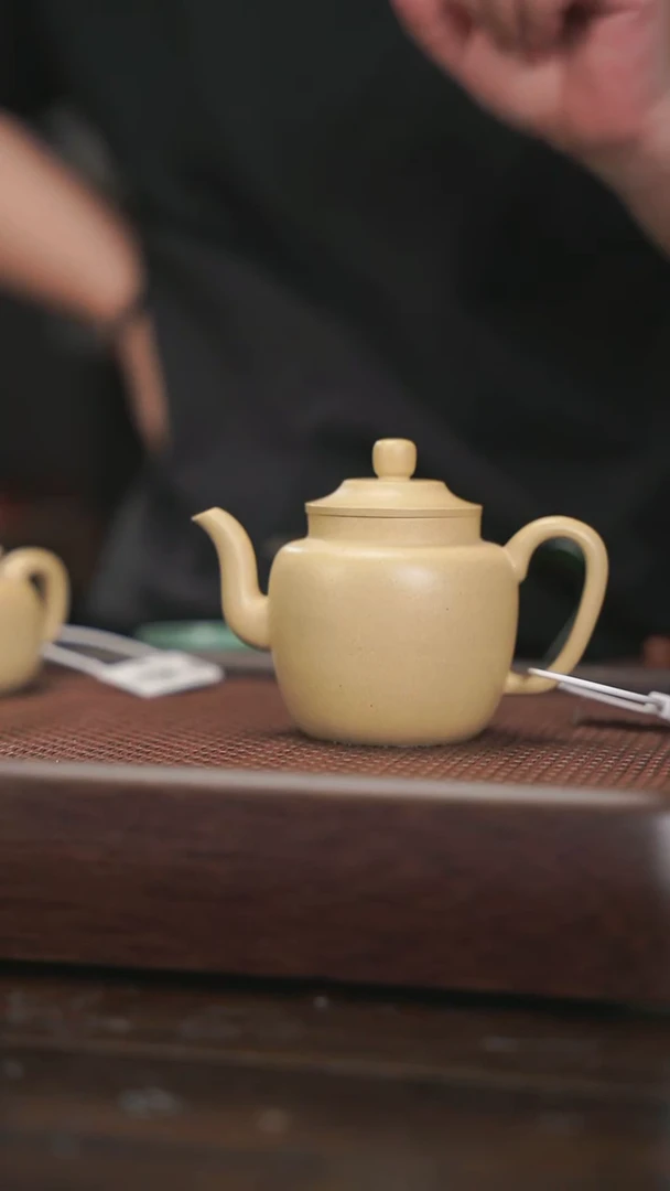 【闪购商品】紫砂茶壶2024.10.23.